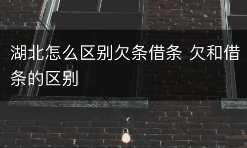 湖北怎么区别欠条借条 欠和借条的区别