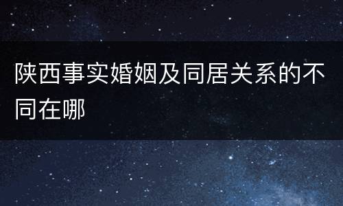 陕西事实婚姻及同居关系的不同在哪