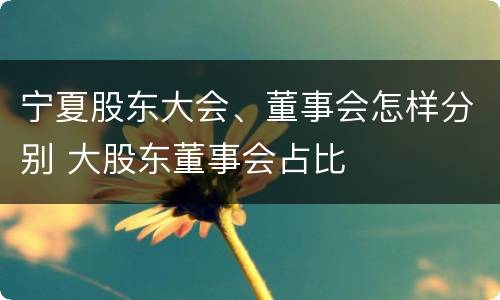 宁夏股东大会、董事会怎样分别 大股东董事会占比