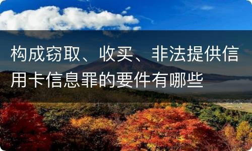 构成窃取、收买、非法提供信用卡信息罪的要件有哪些
