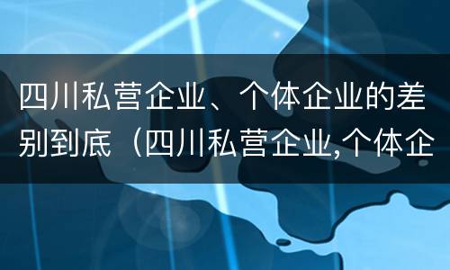 四川私营企业、个体企业的差别到底（四川私营企业,个体企业的差别到底多大）