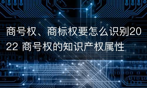 商号权、商标权要怎么识别2022 商号权的知识产权属性