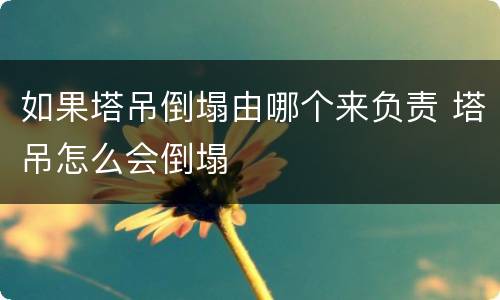 如果塔吊倒塌由哪个来负责 塔吊怎么会倒塌