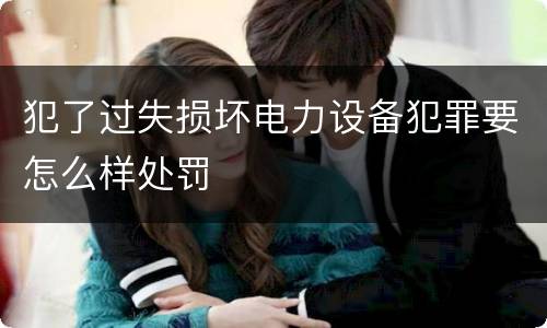 犯了过失损坏电力设备犯罪要怎么样处罚