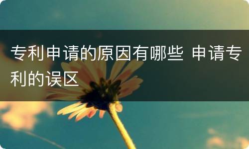 专利申请的原因有哪些 申请专利的误区