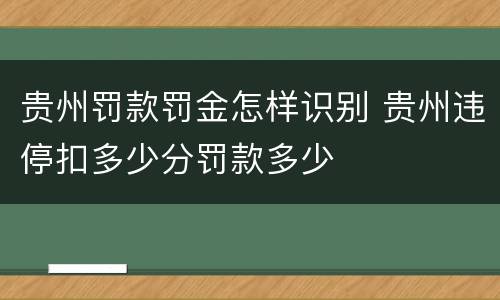贵州罚款罚金怎样识别 贵州违停扣多少分罚款多少