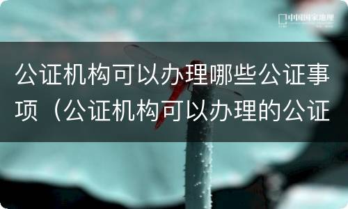 公证机构可以办理哪些公证事项（公证机构可以办理的公证事项包括）