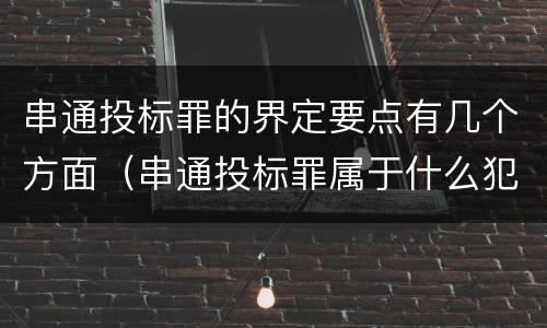 串通投标罪的界定要点有几个方面（串通投标罪属于什么犯罪类型）