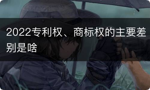 2022专利权、商标权的主要差别是啥