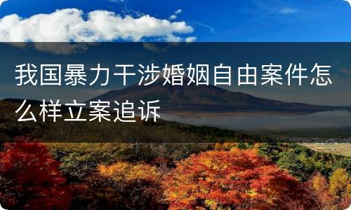 我国暴力干涉婚姻自由案件怎么样立案追诉