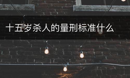 十五岁杀人的量刑标准什么