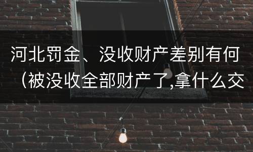 河北罚金、没收财产差别有何（被没收全部财产了,拿什么交罚金）