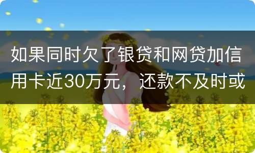 如果同时欠了银贷和网贷加信用卡近30万元，还款不及时或者无力偿还，会被判几年