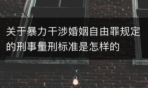 关于暴力干涉婚姻自由罪规定的刑事量刑标准是怎样的