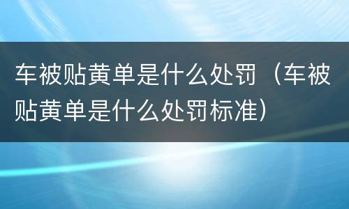 车被贴黄单是什么处罚（车被贴黄单是什么处罚标准）