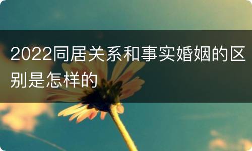 2022同居关系和事实婚姻的区别是怎样的