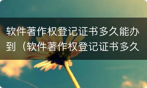 软件著作权登记证书多久能办到（软件著作权登记证书多久能办到手续）