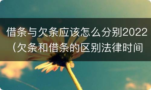 借条与欠条应该怎么分别2022（欠条和借条的区别法律时间多少年）