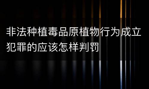 非法种植毒品原植物行为成立犯罪的应该怎样判罚