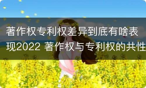 著作权专利权差异到底有啥表现2022 著作权与专利权的共性有