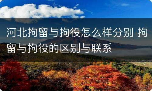 河北拘留与拘役怎么样分别 拘留与拘役的区别与联系