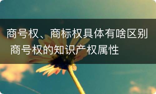 商号权、商标权具体有啥区别 商号权的知识产权属性