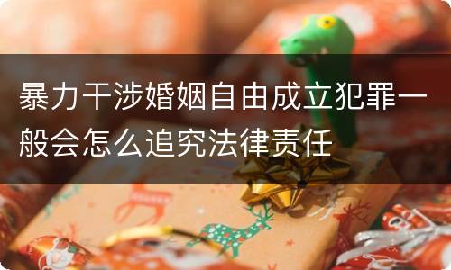 暴力干涉婚姻自由成立犯罪一般会怎么追究法律责任