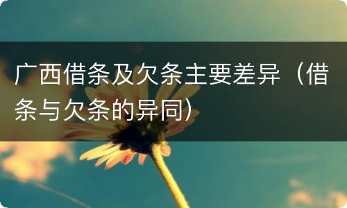 广西借条及欠条主要差异（借条与欠条的异同）