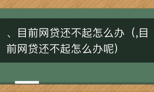 、目前网贷还不起怎么办（,目前网贷还不起怎么办呢）