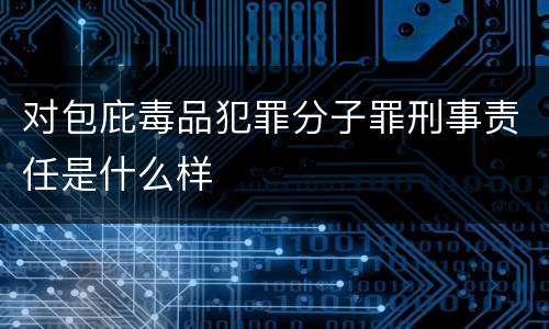对包庇毒品犯罪分子罪刑事责任是什么样