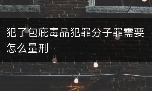 犯了包庇毒品犯罪分子罪需要怎么量刑