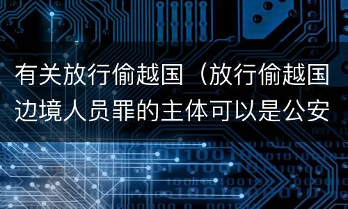 有关放行偷越国（放行偷越国边境人员罪的主体可以是公安民警吗）