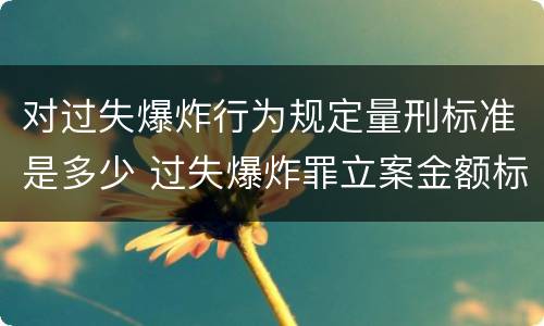 对过失爆炸行为规定量刑标准是多少 过失爆炸罪立案金额标准