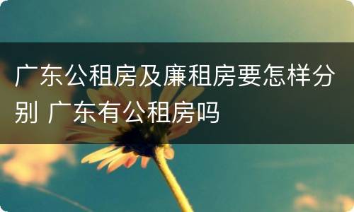 广东公租房及廉租房要怎样分别 广东有公租房吗