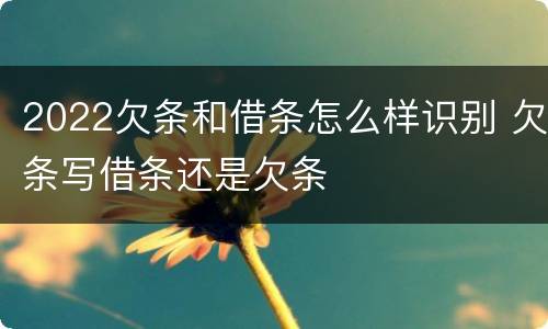 2022欠条和借条怎么样识别 欠条写借条还是欠条