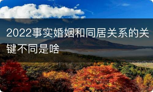 2022事实婚姻和同居关系的关键不同是啥