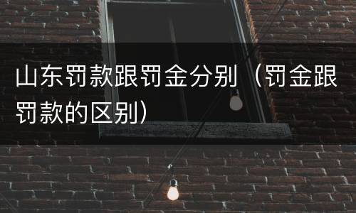 山东罚款跟罚金分别（罚金跟罚款的区别）