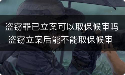 盗窃罪已立案可以取保候审吗 盗窃立案后能不能取保候审