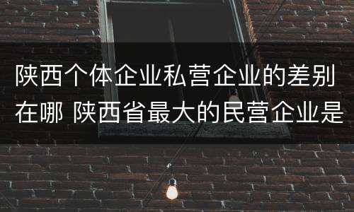 陕西个体企业私营企业的差别在哪 陕西省最大的民营企业是什么公司