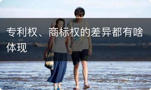 专利权、商标权的差异都有啥体现