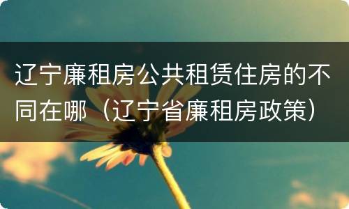 辽宁廉租房公共租赁住房的不同在哪（辽宁省廉租房政策）