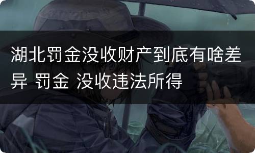 湖北罚金没收财产到底有啥差异 罚金 没收违法所得