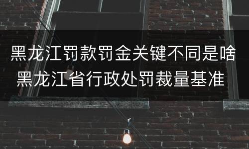 黑龙江罚款罚金关键不同是啥 黑龙江省行政处罚裁量基准