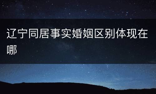 辽宁同居事实婚姻区别体现在哪
