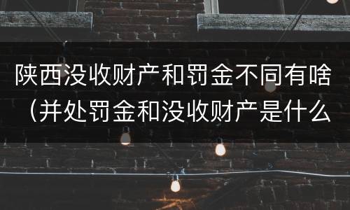 陕西没收财产和罚金不同有啥（并处罚金和没收财产是什么意思）