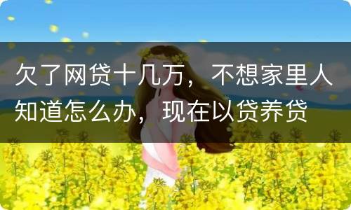 欠了网贷十几万，不想家里人知道怎么办，现在以贷养贷