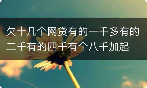 欠十几个网贷有的一千多有的二千有的四千有个八千加起
