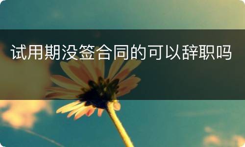 试用期没签合同的可以辞职吗