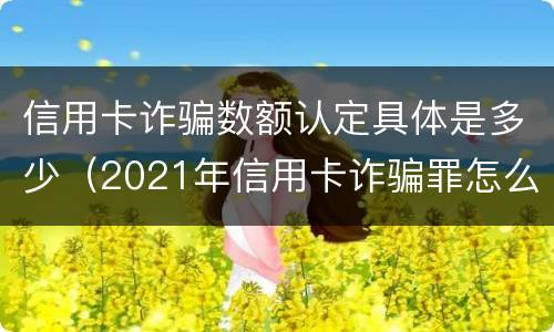 信用卡诈骗数额认定具体是多少（2021年信用卡诈骗罪怎么认定）