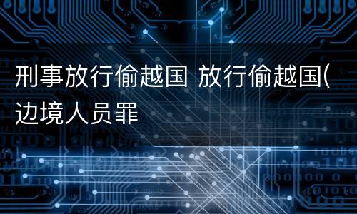 刑事放行偷越国 放行偷越国(边境人员罪